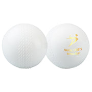 Wind Cricket Ball White (6 Balls Pack)